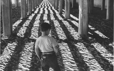 le petit fugitif